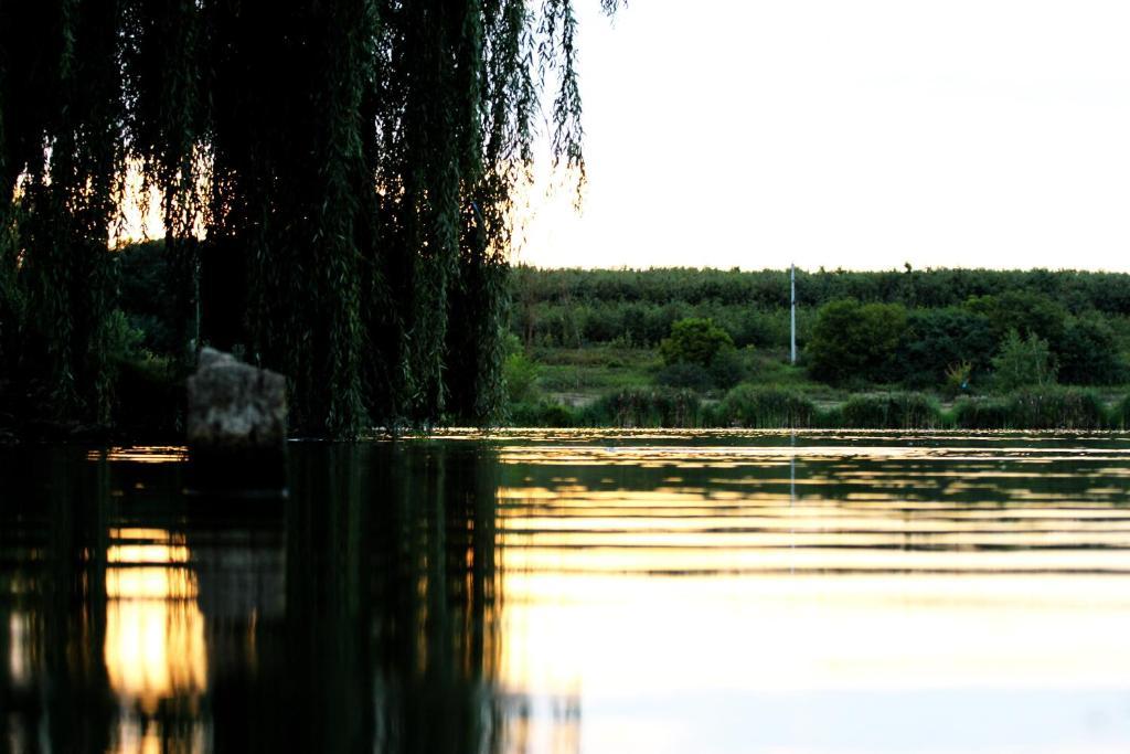 Korona Szallo Hotel Nagykanizsa Buitenkant foto